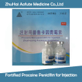 Penicilline Procaine Fortifiée Pour Injection